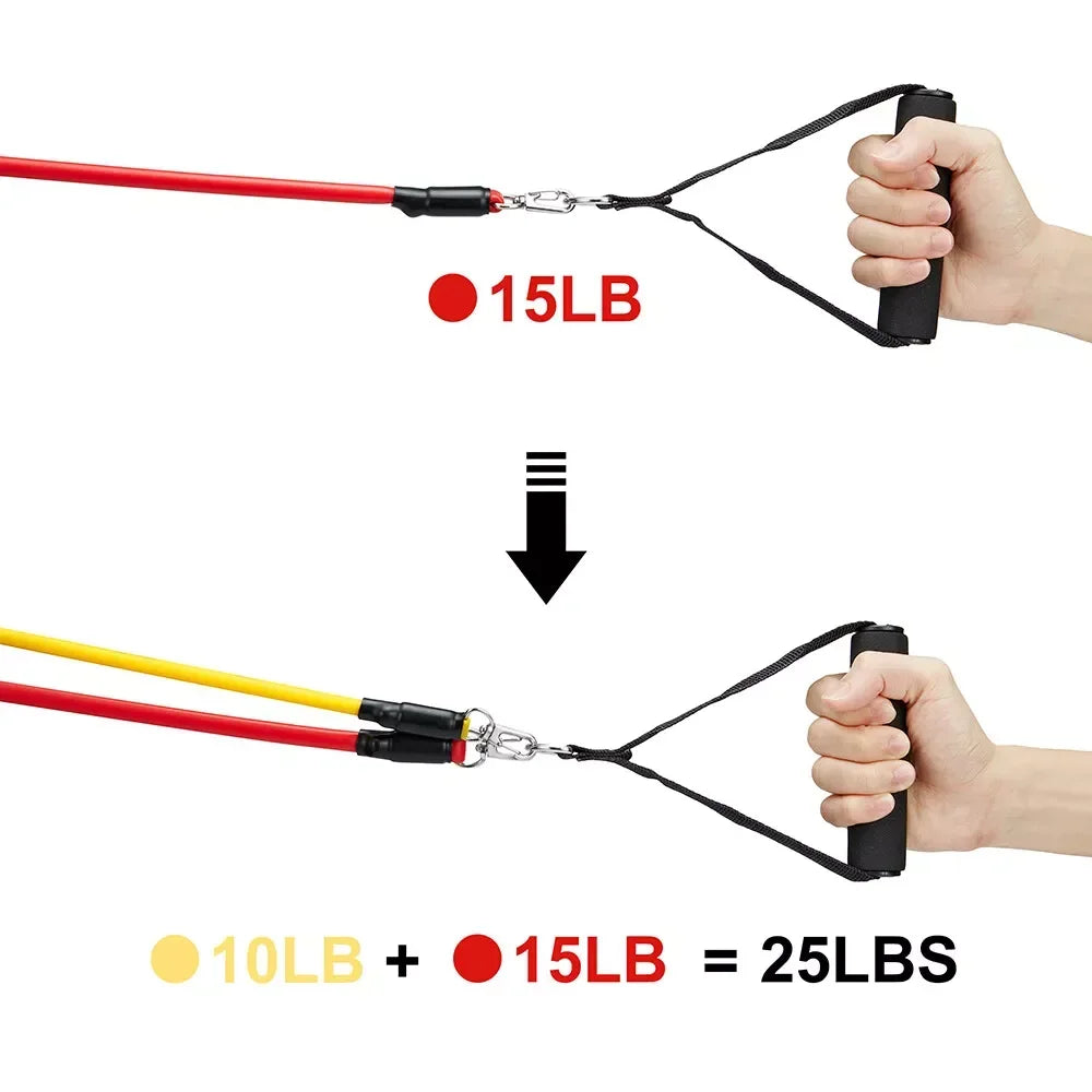 Bandas de Resistencia TPE 【11 Piezas】- Niveles 15-150 lbs ✅ Ideal para Glúteos, Piernas & Tonificación