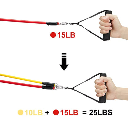 Bandas de Resistencia TPE 【11 Piezas】- Niveles 15-150 lbs ✅ Ideal para Glúteos, Piernas & Tonificación